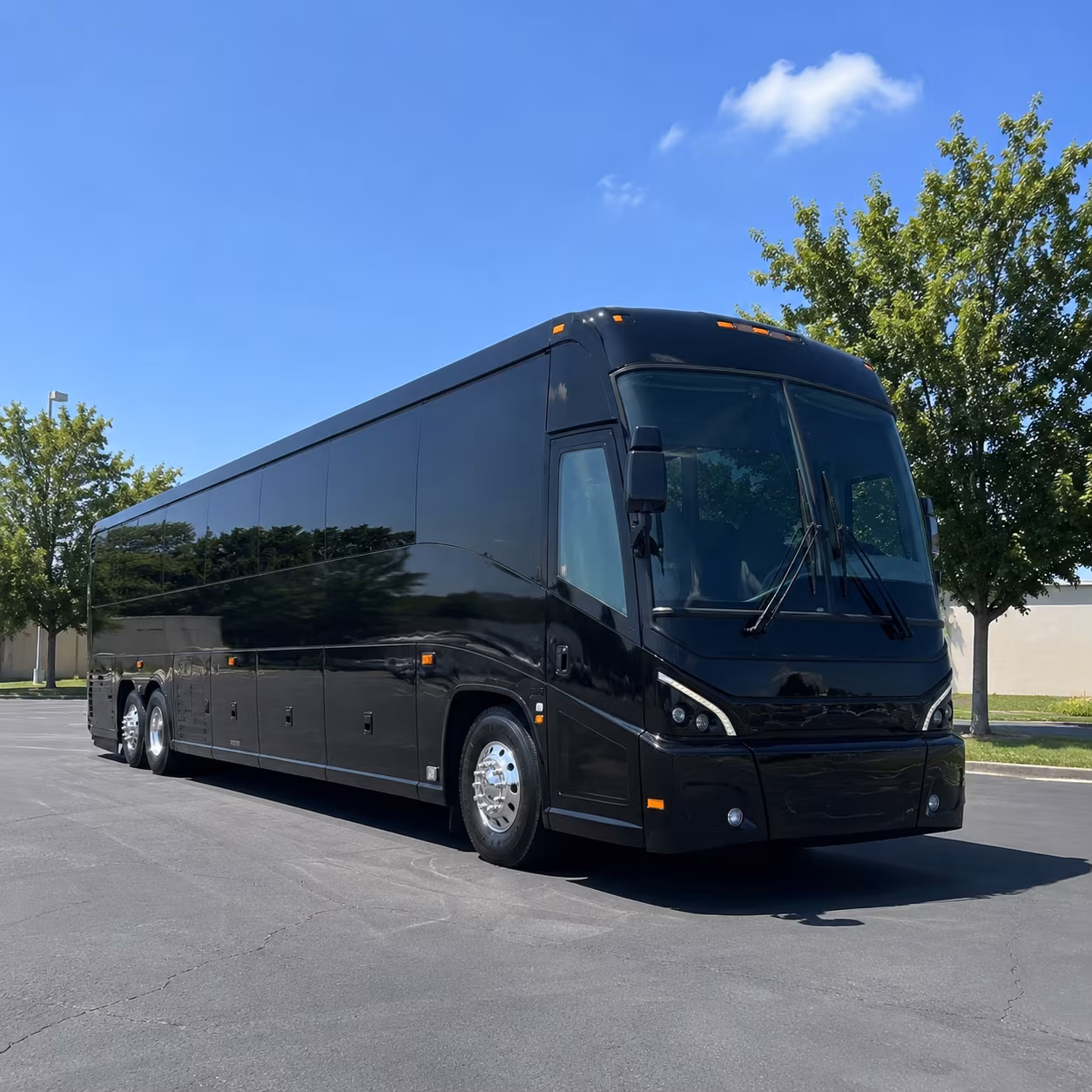 paterson stress free transportation for your paterson wedding
